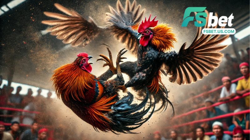 Đá Gà Fsbet